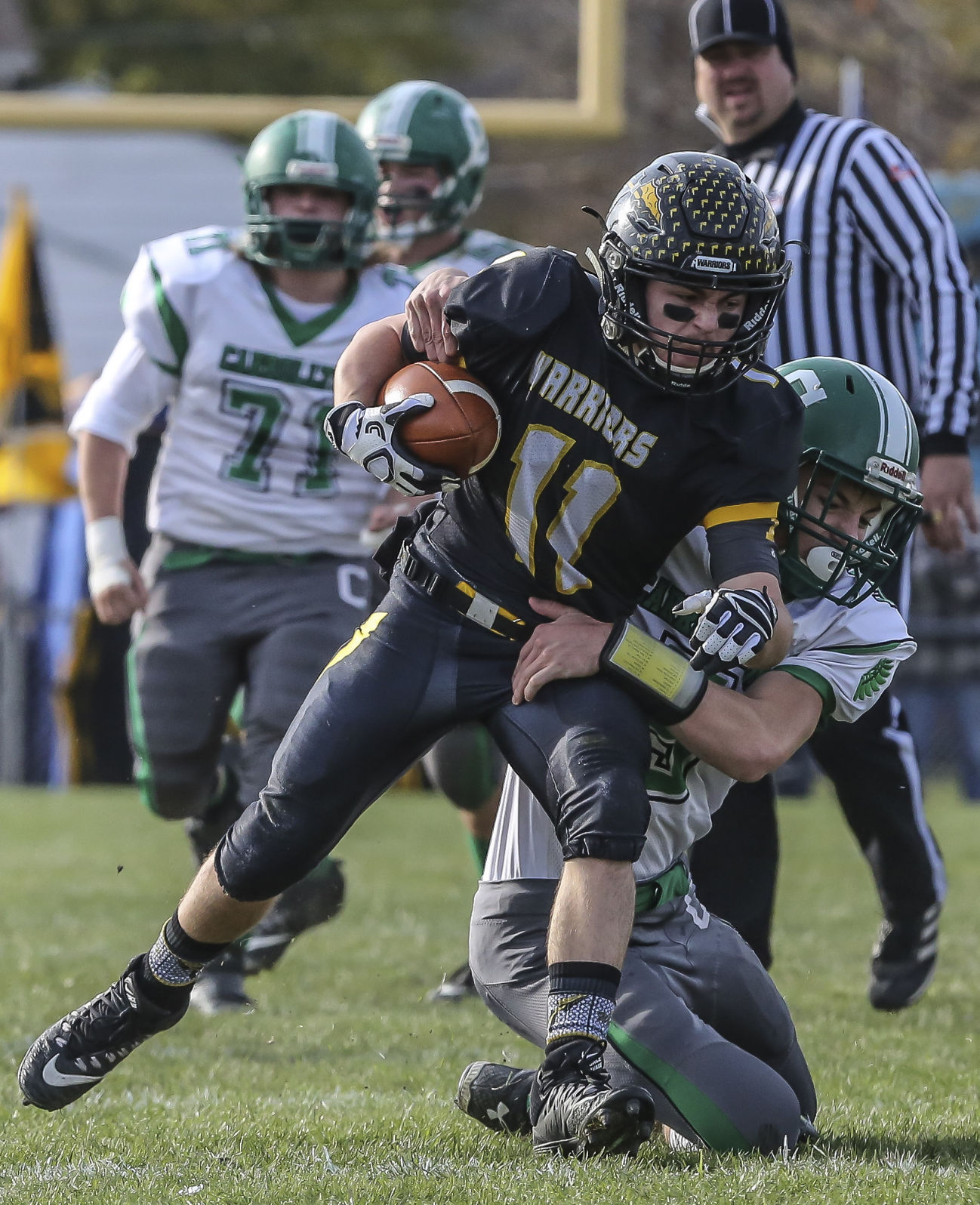 decgal tuscola 15 111017.JPG